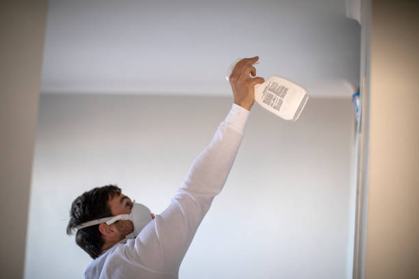 Best Mold Damage Repair  in Nevada City, CA