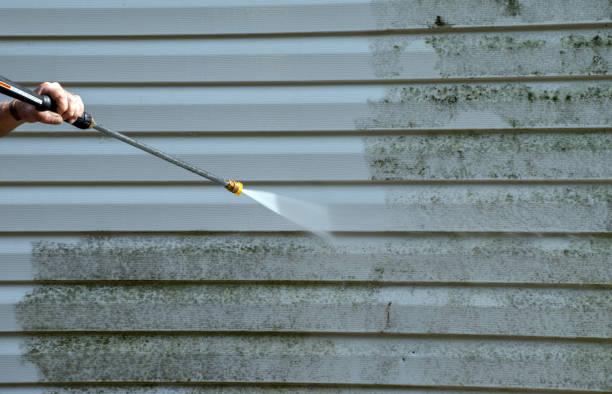 Best Mold Remediation Experts  in Nevada City, CA