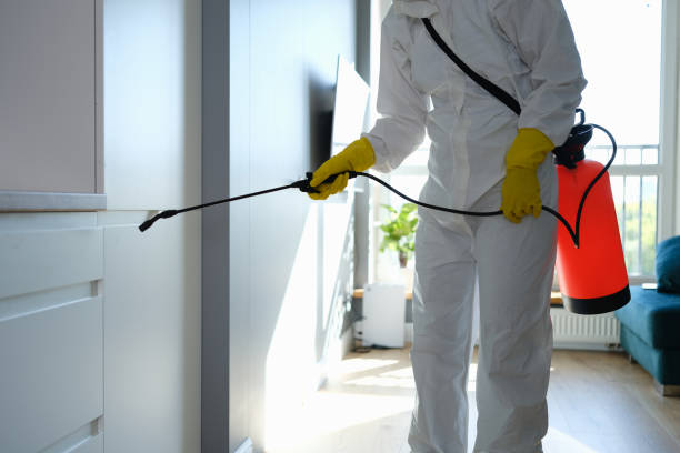 Best Professional Mold Removal  in Nevada City, CA