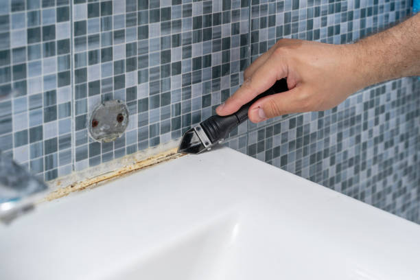 Best Office Mold Removal Services  in Nevada City, CA
