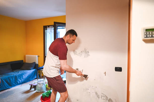Best Toxic Mold Removal  in Nevada City, CA