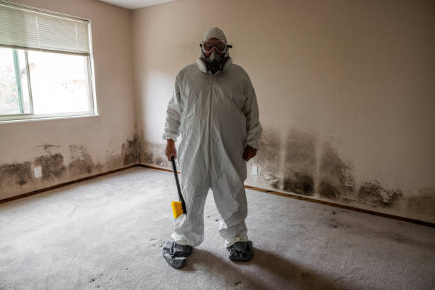 Best Residential Mold Removal  in Nevada City, CA